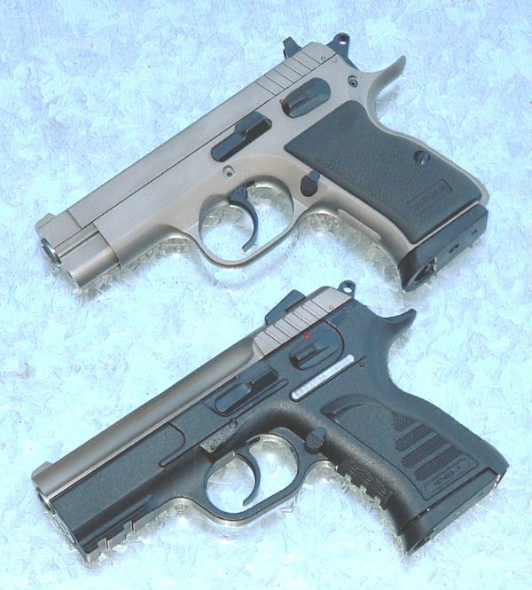 eaa-witness_10mmcompacts.jpg